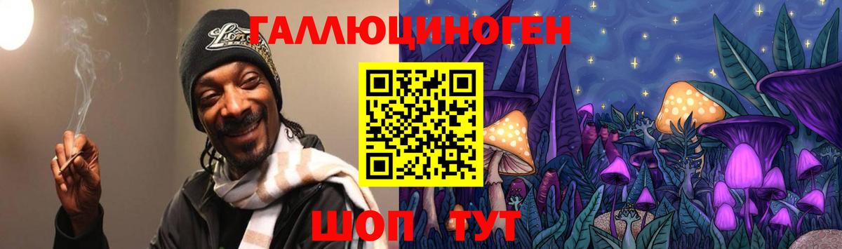 Озёрск  Псилоцибиновые грибы Psilocybine cubensis  Вход с VPN 