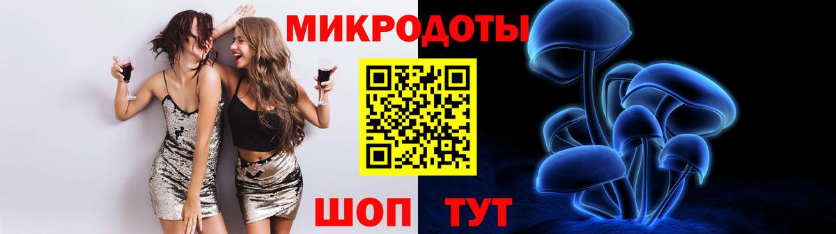 Псилоцибиновые грибы Psilocybe Озёрск