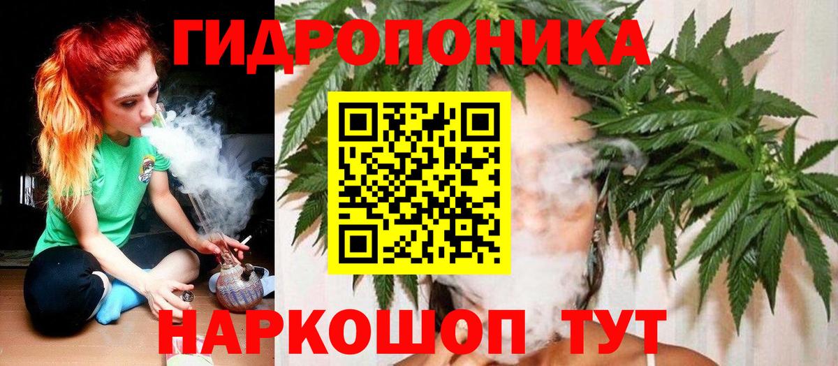 Бошки марихуана Bruce Banner Озёрск